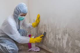 Best Attic Mold Removal  in Sullivan, MO